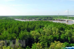 Respalda organización ecologista mundial conservación de la biodiversidad forestal en Vietnam