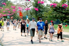 Visitan Vietnam representantes de 40 agencias de viaje europeas para potenciar turismo