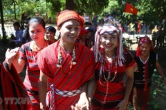 Celebrarán en Vietnam el Festival de Familias 