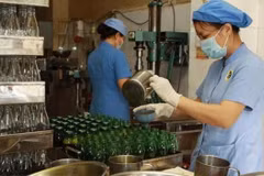 Vietnam auspiciará conferencia de medicina tradicional de países de subregión del Mekong