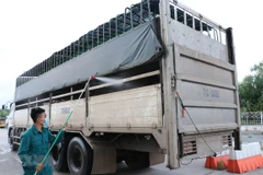 Vietnam y Camboya coordinan en la prevención contra la peste porcina africana