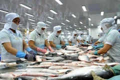  Busca Vietnam ampliar la exportación del pescado Tra hacia América Latina