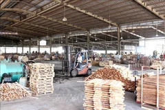 Promoverá TLC con UE el desarrollo sostenible de industria maderera de Vietnam