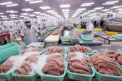 Desciende ligeramente valor de las exportaciones de productos acuícolas de Vietnam durante 2019