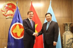 Cumple viceprimer ministro vietnamita amplio programa de actividades en Naciones Unidas