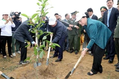 Lanzan campaña de plantación de árboles en provincia vietnamita de Hoa Binh 