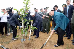 Lanzan campaña de plantación de árboles en provincia vietnamita de Hoa Binh 