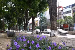 Desarrollan en Vietnam seminario sobre crecimiento verde de Hanoi 