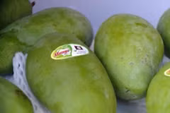 Conquista mango vietnamita mercado de Chile