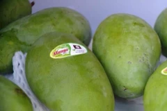 Conquista mango vietnamita mercado de Chile