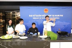 Celebran en Sudáfrica Festival Cultural de ASEAN 