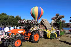 Nutrida participación en Festival de Flores de Da Lat 2019