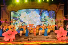 Celebran en Vietnam Festival de Cerezo y Albaricoque Amarillo 