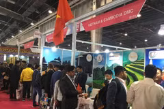Participa Vietnam en la mayor feria surasiática de turismo en la India