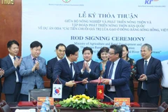Invierte Corea del Sur en Vietnam para mejorar la cadena de valor del arroz