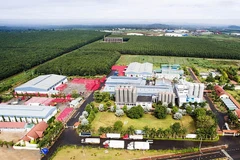 Crecen 13,7 por ciento ventas minoristas en provincia vietnamita de Dak Lak