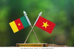 Vietnam felicita a nuevo primer ministro de Camerún 
