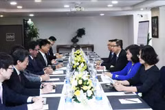 Ciudad Ho Chi Minh y Hokkaido (Japón) por fomentar cooperación multisectorial