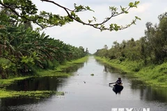 Recibe Vietnam casi ocho millones 500 mil turistas extranjeros en la primera mitad de 2019