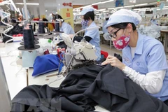 Destacan nivel de las relaciones económicas y comerciales entre Vietnam y Rusia