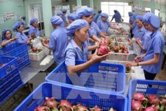 Alcanzaron exportaciones de frutas y hortalizas de Vietnam valor récord en 2018 