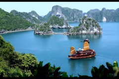 Se empeña ciudad de Ha Long en desarrollar servicios y turismo