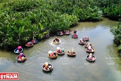 Cam Thanh, tierra de las palmas de agua