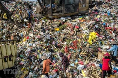  Devuelve Indonesia a Australia más de 200 toneladas de basura