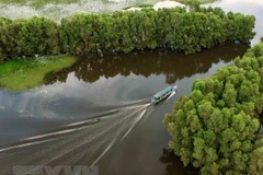 Promueven en Vietnam el turismo verde