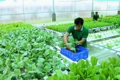 Planean establecer estándares comunes para productos orgánicos en ASEAN