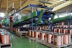 Se redujo en febrero índice de Producción Industrial de Vietnam 