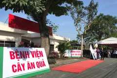 Implementan en Vietnam sistema hospitalario de árboles frutales