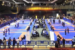 Promueven en Francia arte marcial vietnamita Vovinam 