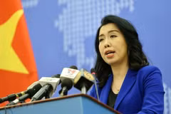 Decidido Vietnam a combatir fraude comercial