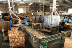 Productos forestales, principal rubro de exportación de Vietnam en lo que va del año