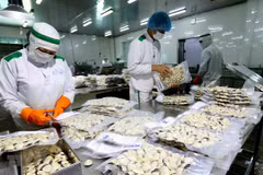 Crecen exportaciones agrícolas, silvícolas y acuícolas de Vietnam 