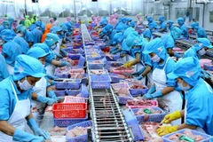 Destacan expertos extranjeros papel de Vietnam en comunidad internacional