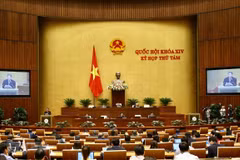 Evaluará Parlamento de Vietnam labores de prevención y lucha contra incendios