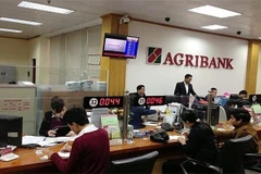 Bancos vietnamitas reportan altos ingresos en 2018 