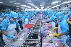 La India, competidor de Vietnam en exportaciones acuícolas