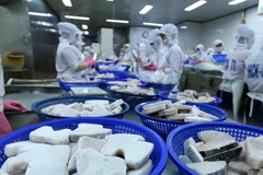 Analizan lazos comerciales Vietnam- Estados Unidos en nuevo contexto
