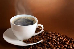 Aprecia revista Forbes cultura de café de Vietnam