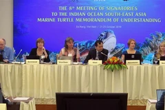  Vietnam se une a los esfuerzos mundiales para proteger a las tortugas marinas