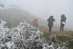 Convertirán a Mau Son en un centro turístico de la región semimontañosa norteña de Vienam