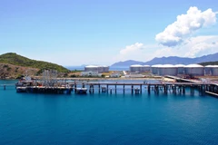 Empresa estadounidense interesada en proyecto de gas natural licuado en Vietnam