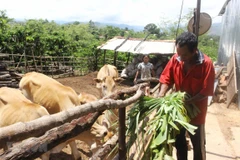 Parlamento de Vietnam intensifica atención a minorías étnicas