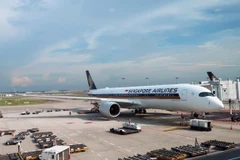 Aerolínea de Singapur aumentará frecuencia de vuelos en agosto