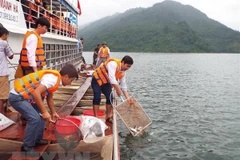 Vietnam proyecta plan para protección y explotación de recursos acuáticos