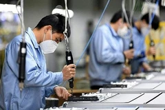 Estudian en Vietnam el desarrollo empresarial en etapa pospandémica