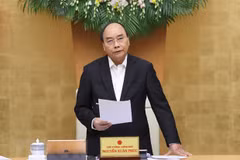 Economía de Vietnam crecerá entre 2,5 y tres por ciento en 2020